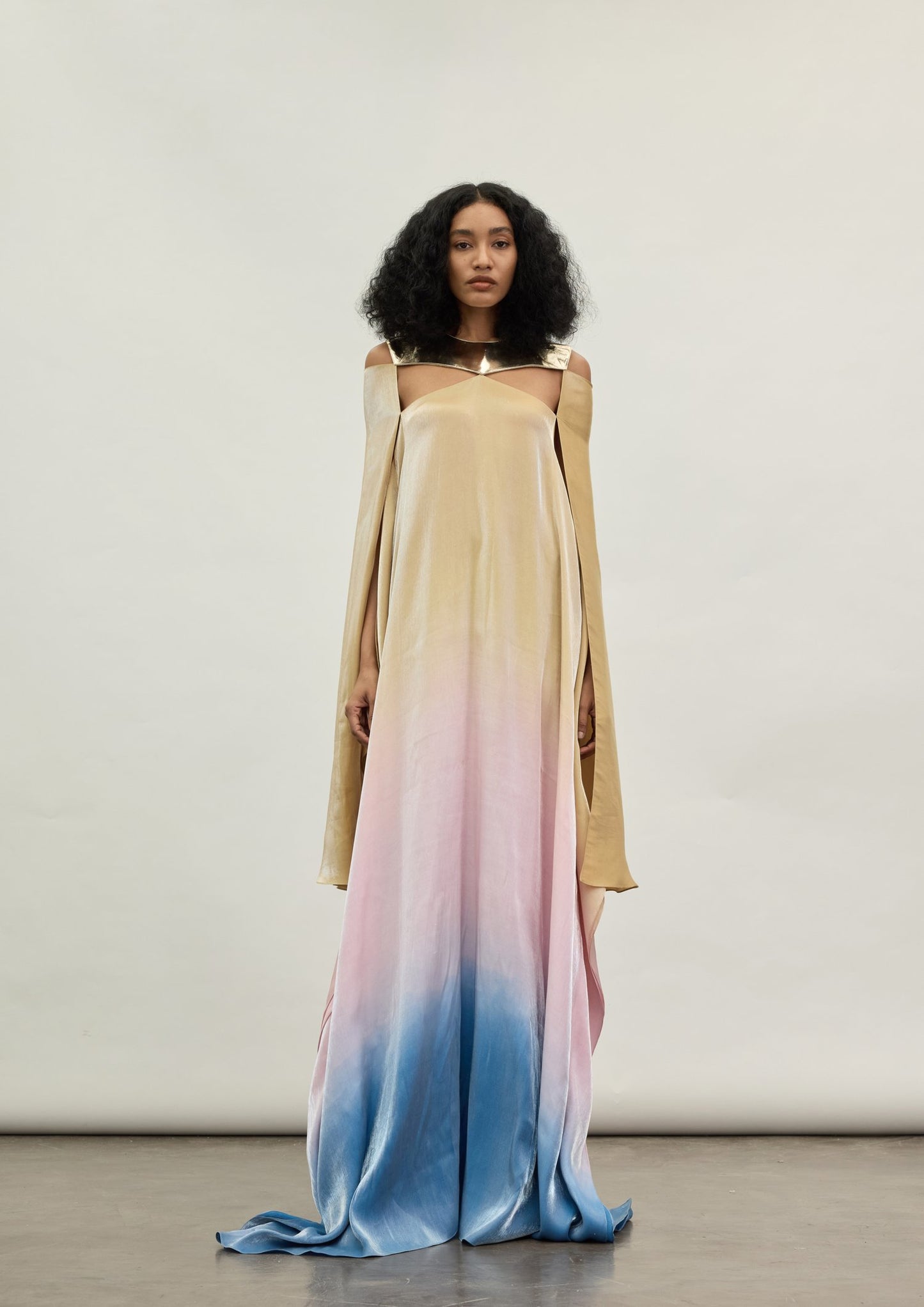 The Gold Plate Spectrum Dress