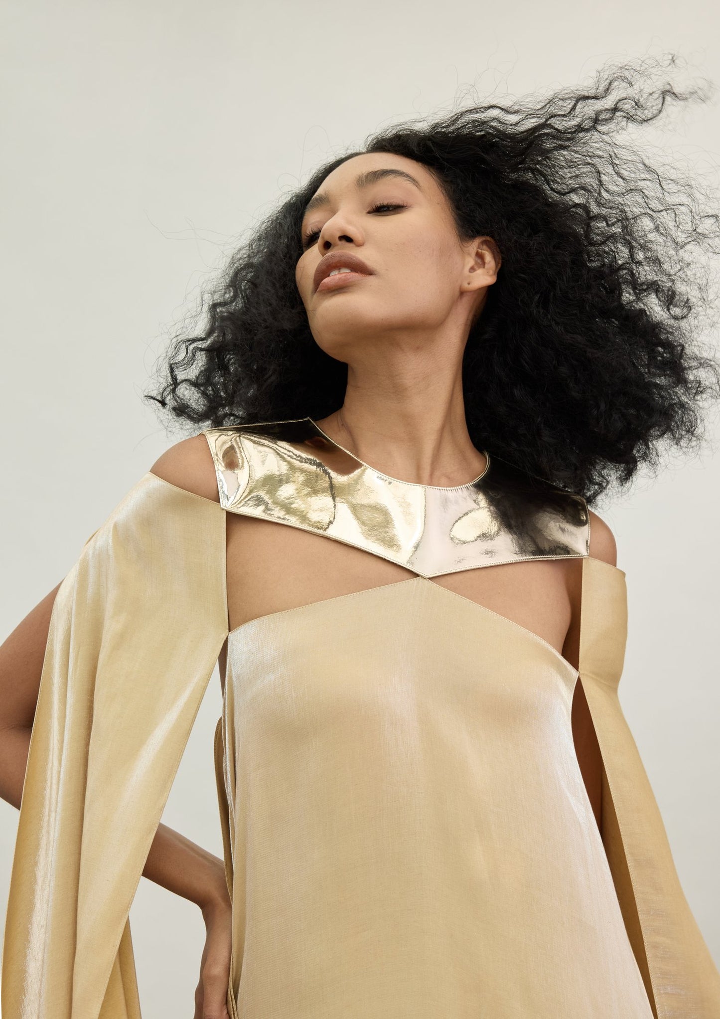 The Gold Plate Spectrum Dress