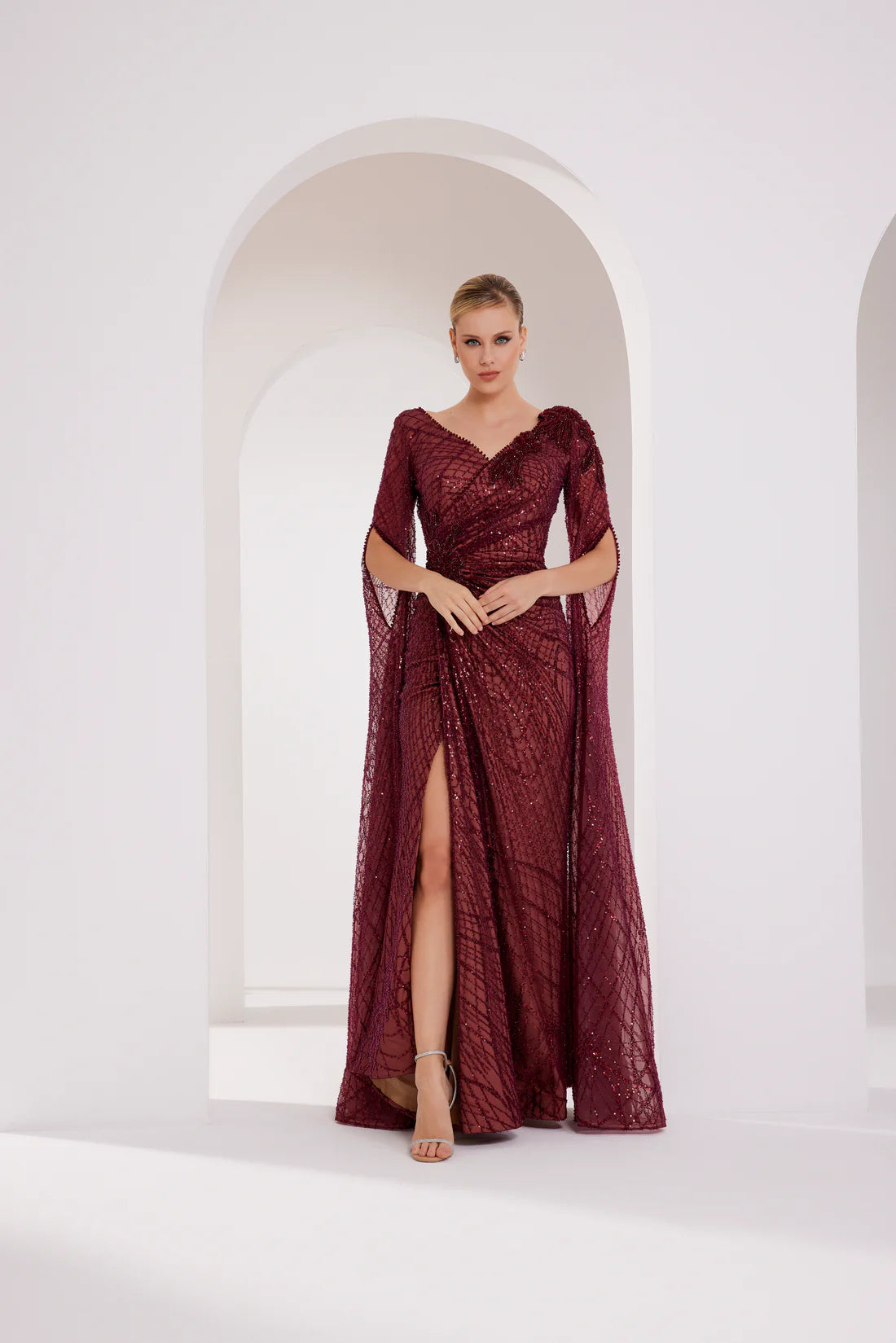 Long Tail Sleeves Gown